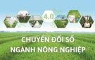 Nông nghiệp số: Chiếu sáng trong cây trồng và vật nuôi