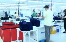 Huyện Thọ Xuân hỗ trợ các doanh nghiệp chuyển đổi số
