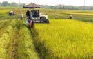 Công tác thu mùa và kế hoạch gieo trồng vụ đông năm 2021.
