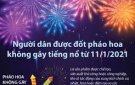Tuyên truyền phòng chống pháo vũ khí, vật liệu nổ, công cụ hỗ trợ dịp  Tết Nguyên đán Tân Sửu 2021