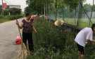 Công tác đảm bảo VSMT ở xã Xuân Sinh