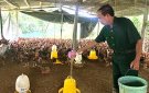 Gương người tốt việc tốt Hội CCB xã Xuân Sinh Hội viên CCB gương mẫu, tích cực lao động sản xuất và tham gia công tác hội.