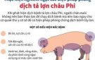 Hướng dẫn các biện pháp phòng, chống bệnh Dịch tả lợn Châu Phi xâm nhập, tái phát, lây lan trên địa bàn huyện.